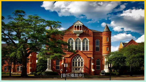 校园招聘入选全攻略 (中文字幕英文视频教程)
