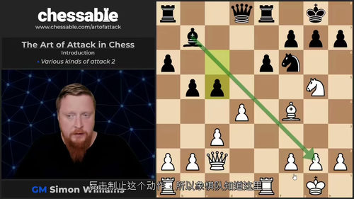 [中字] 国际象棋的进攻艺术（中文字幕英文视频教程）