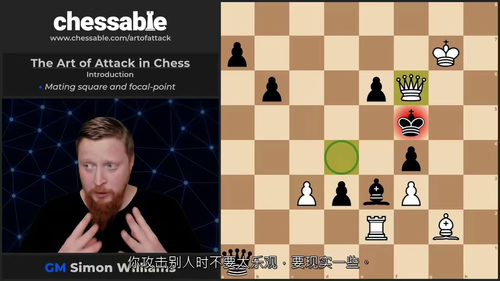 [中字] 国际象棋的进攻艺术（中文字幕英文视频教程）