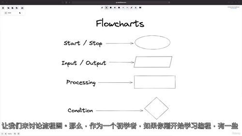 Java编程流程图精通教程 (中文字幕英文视频教程)