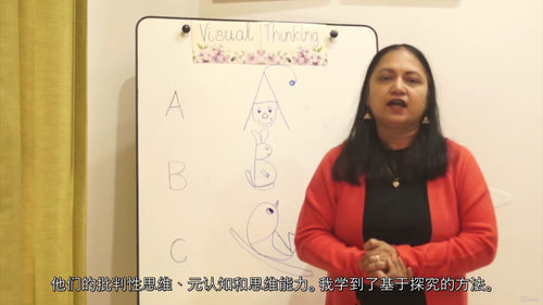课堂视觉思维教学应用(中文字英文视频教程)