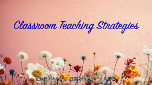 课堂视觉思维教学应用（中文字英文视频教程）
