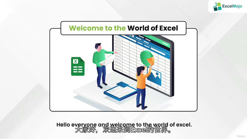 财务Excel基础实操教程