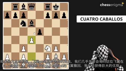 e4开局精讲视频教程