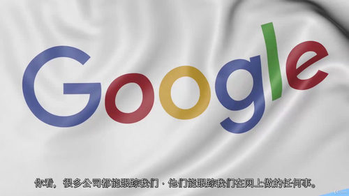 网络安全入门指南：进阶防护篇 (中文字幕英文视频教程)