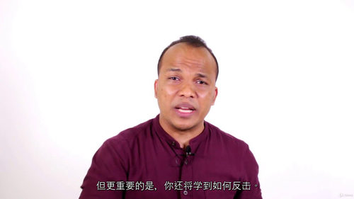 网络安全入门指南：进阶防护篇 (中文字幕英文视频教程)