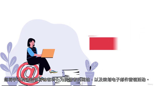 非营利组织数字筹款——线上捐赠实战策略 (英文视频中文外挂字