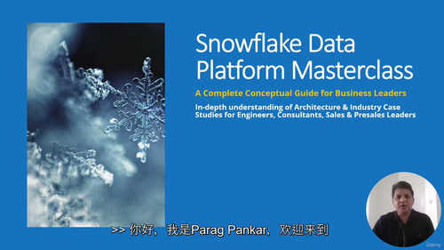 Snowflake数据平台实战教程