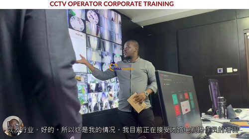 [中字] 全方位 CCTV 操作员与 IT 支持技术员培训课