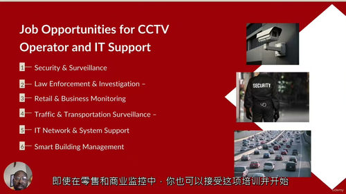 [中字] 全方位 CCTV 操作员与 IT 支持技术员培训课