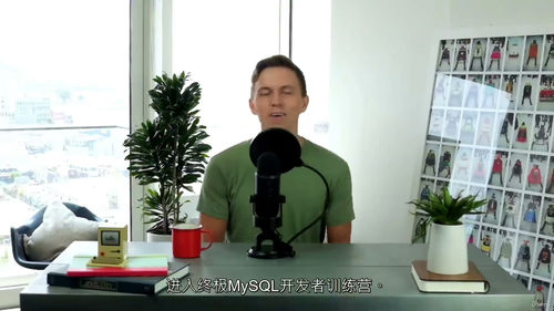 MySQL实战从入门到专家