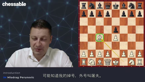象开局1...e5实战解析