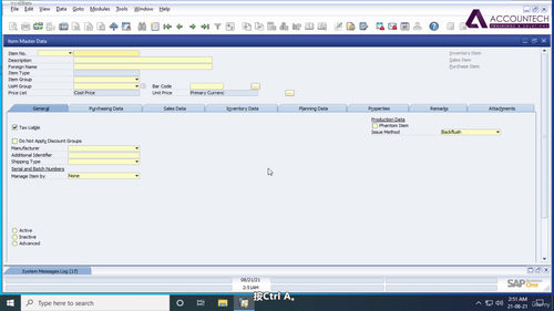 SAP Business One进阶专业培训 (英文课程中文字幕)