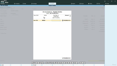 Tally Prime从入门到精通：会计实务全攻略 (英文课程中文字幕)