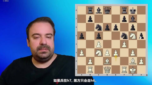 [中文配音]爱德华王翼印度攻击终身布局体系教程