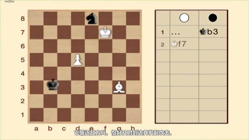 [中文配音]国际象棋视听教程