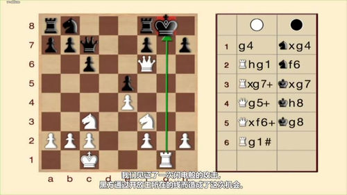 [中文配音]国际象棋视听教程