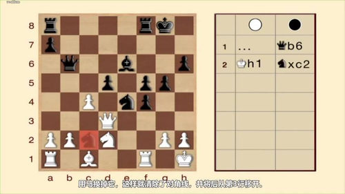 [中文配音]国际象棋视听教程