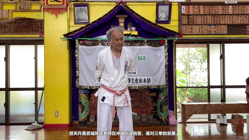 三战与天正：霍卡玛学院空手道型修炼指南 (英文课程中文字幕)