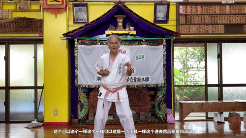 三战与天正：霍卡玛学院空手道型修炼指南 (英文课程中文字幕)
