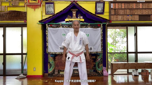 三战与天正：霍卡玛学院空手道型修炼指南 (英文课程中文字幕)