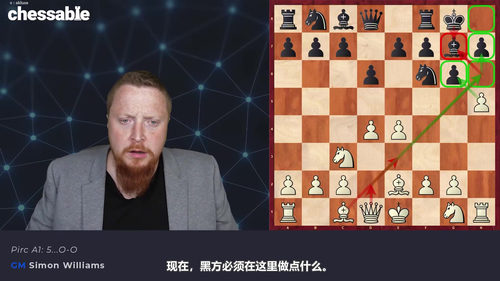 [中文配音]特级大师布局：1.e4激进变例深度解析