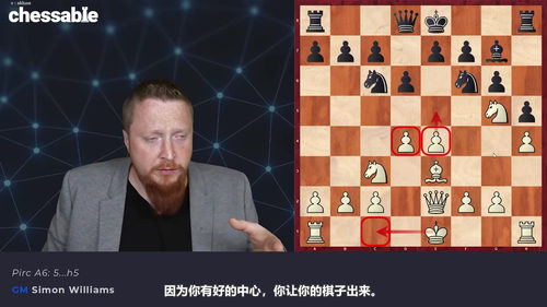 [中文配音]特级大师布局：1.e4激进变例深度解析