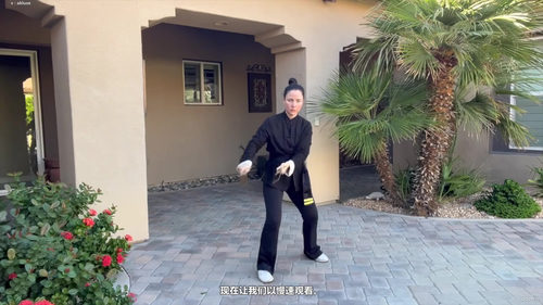 咏春蝴蝶刀大师认证课程 (英文课程中文字幕)