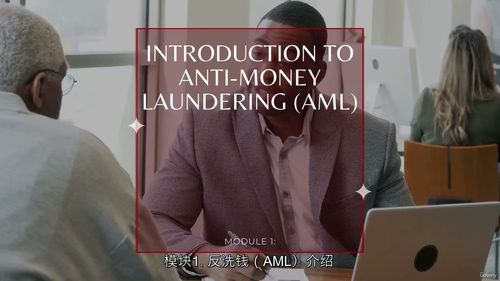 反洗钱合规基础（Anti-Money Laundering