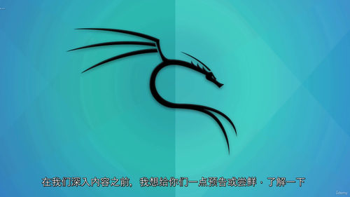 网络安全实战入门：从基础到进阶的全技能培养  (中文字幕英文