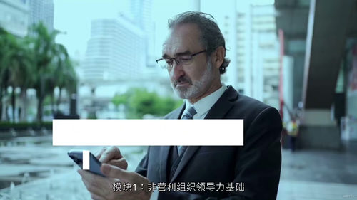 非营利组织领导与管理 (英文视频课程，中文外挂字幕)