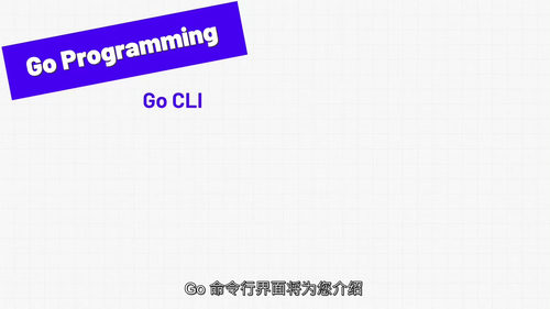 Go语言(Golang)入门课程