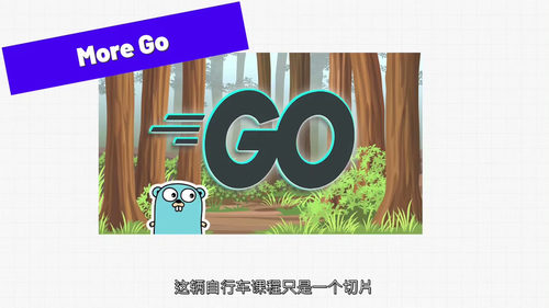 Go语言(Golang)入门课程