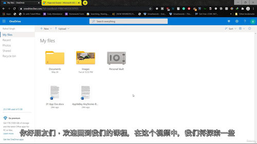 OneDrive 2025 商业与个人应