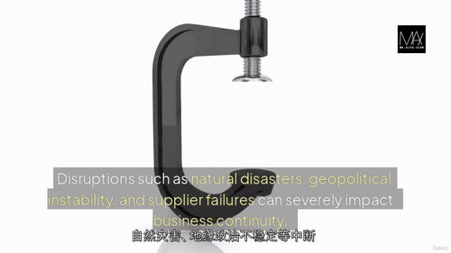 [中字] 战略供应链管理专业文凭（中文字幕英文视频教程）