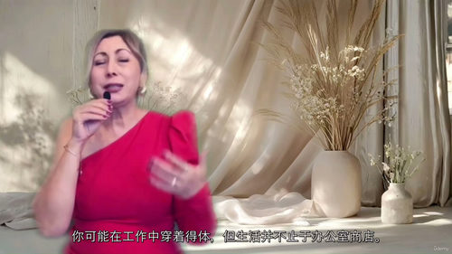 风格塑造人生 打造专属个人品牌（中文字英文视频教程）