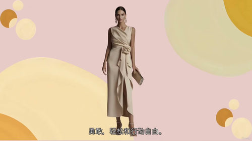 风格塑造人生 打造专属个人品牌（中文字英文视频教程）