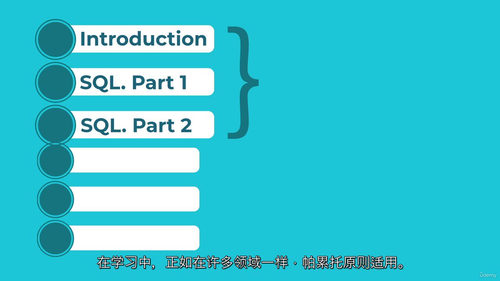 SQL 与 PostgreSQL 实用实战课程(中文字幕英文