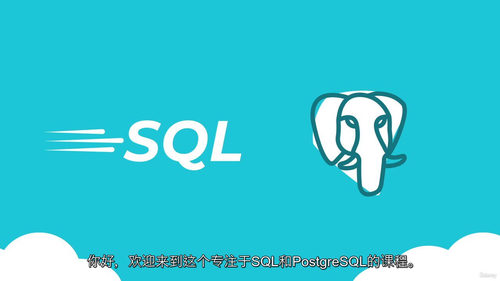 SQL 与 PostgreSQL 实用实战课程（中文字幕英文