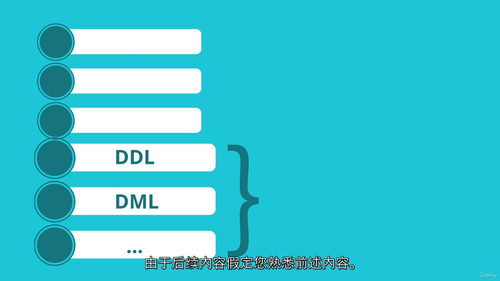 SQL 与 PostgreSQL 实用实战课程(中文字幕英文