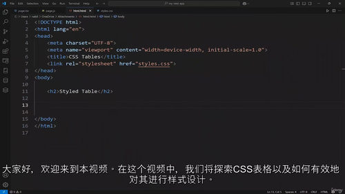 HTML和CSS 完整网页开发指南 (中文字幕英文视频教程)