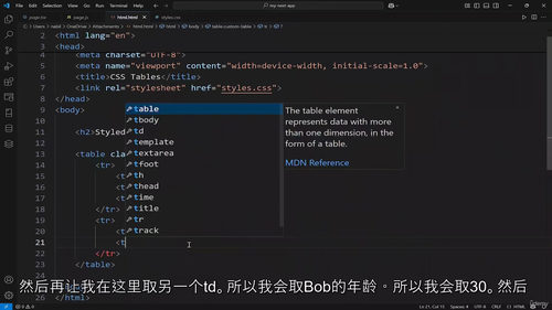 HTML和CSS 完整网页开发指南 (中文字幕英文视频教程)