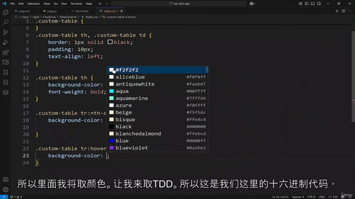 HTML和CSS 完整网页开发指南 (中文字幕英文视频教程)