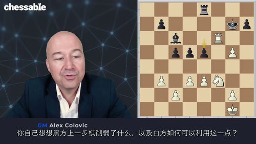 大师之手——菲舍尔残局技巧  (中文字幕英文视频教程)