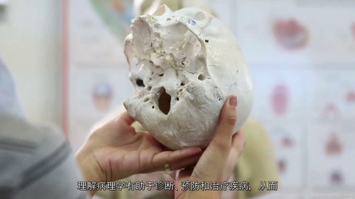 希贾玛拔罐女性健康认证课程  (中文字幕英文视频教程)