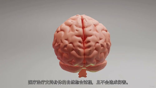 希贾玛拔罐女性健康认证课程  (中文字幕英文视频教程)