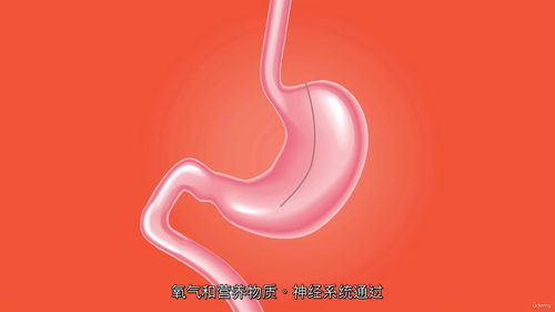 希贾玛拔罐女性健康认证课程  (中文字幕英文视频教程)