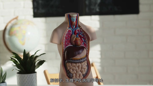希贾玛拔罐女性健康认证课程  (中文字幕英文视频教程)