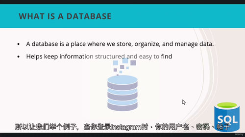 SQL与Power BI实战进阶