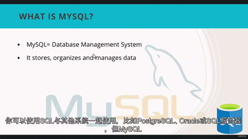 SQL与Power BI实战进阶
